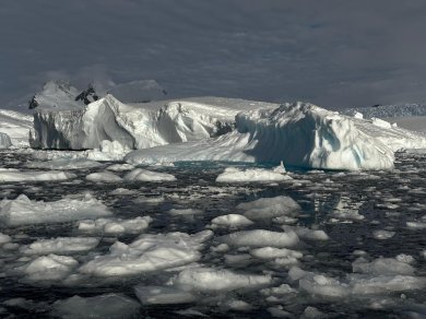 Antarktyda wyprawa Prestige Tours