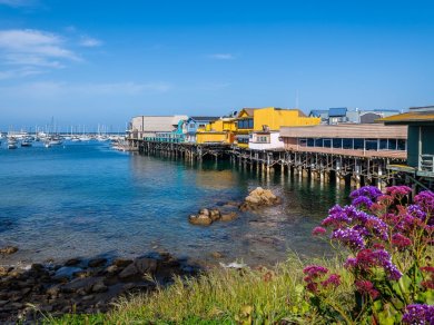 MONTEREY, POINT LOBOS