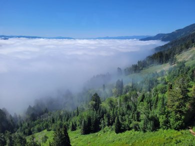 parki narodowe ameryki wycieczka objazdowka USA