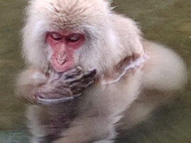 Japonia zimą wycieczka Prestige Tours