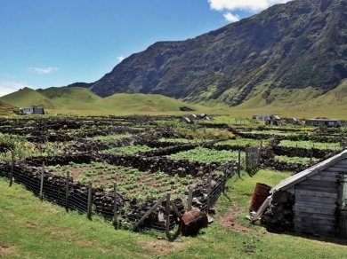 Tristan da Cunha rejs Prestige Tours