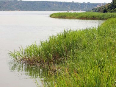 Kazinga Channel