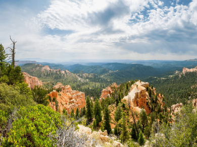 Bryce Canyon National Park - piękne miejsce do zwiedzenia