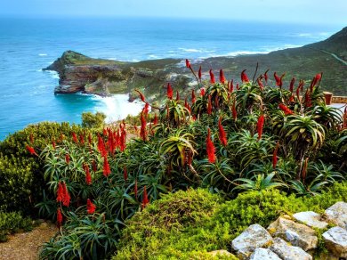 wycieczka do RPA, Lesotho, Suazi i Mozambiku z Prestige Tours