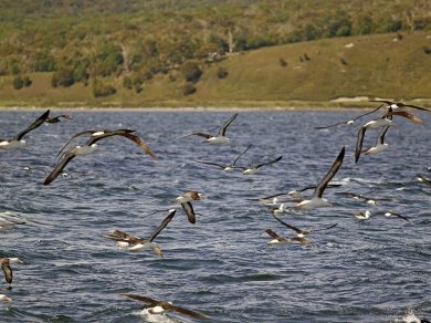 wycieczka do Argentyny, Chile, Urugwaju z opcja na Wyspę Wielkanocną