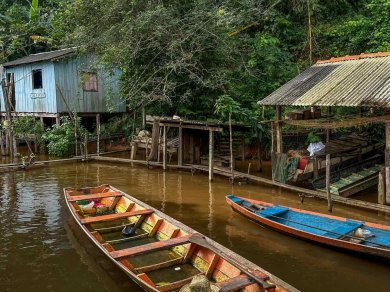 Amazonia
