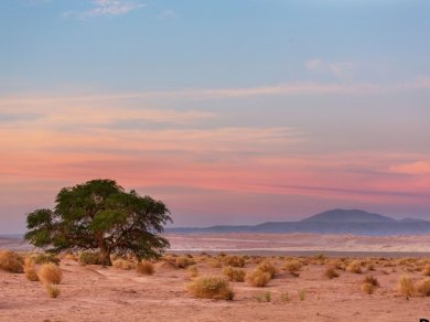 wycieczka do Argentyny, Chile, Urugwaju z opcja na Wyspę Wielkanocną