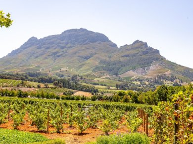 wycieczka do RPA, Lesotho, Suazi i Mozambiku z Prestige Tours
