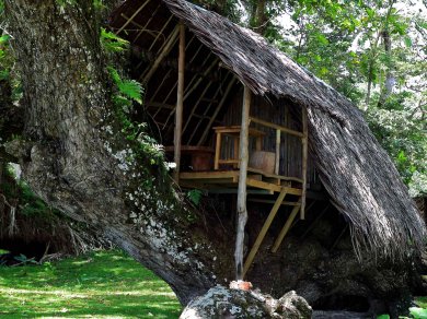Vanuatu wycieczka egzotyczna