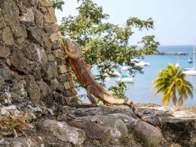 Fort-de-France rejs z Prestige Tours