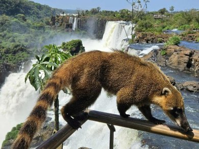 wodospady Iguazu  - wycieczka Prestige Tours