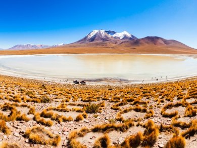 Altiplano wycieczka Prestige Tours