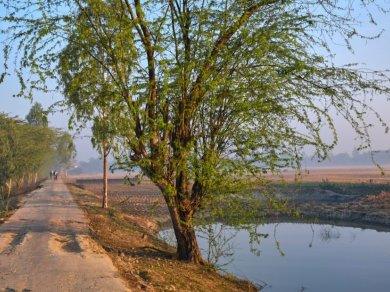 REJS DO SUNDERBANS