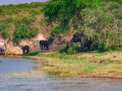 SAFARI W QUEEN ELIZABETH NATIONAL PARK
