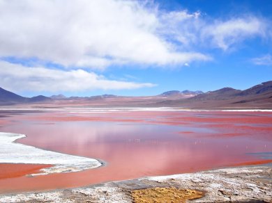 Altiplano wycieczka Prestige Tours