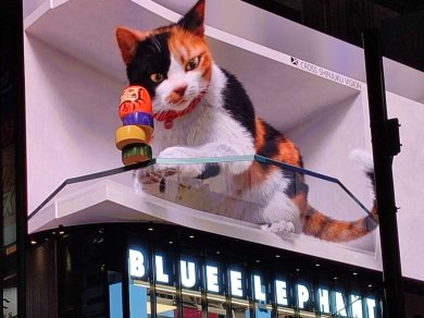 Tokio- - Ginza