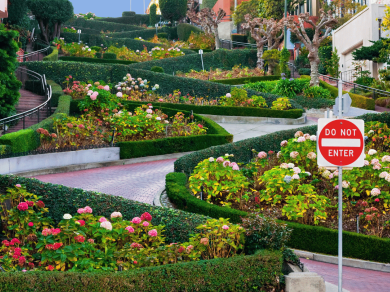 Lombard Street - San Francisco