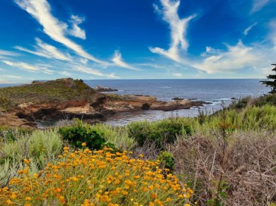 MONTEREY, POINT LOBOS