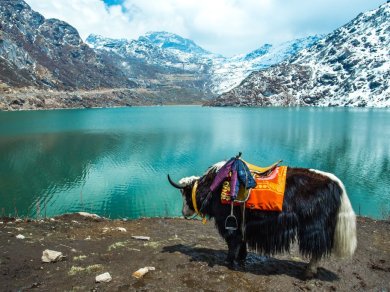 Himalaje wycieczka Prestige Tours
