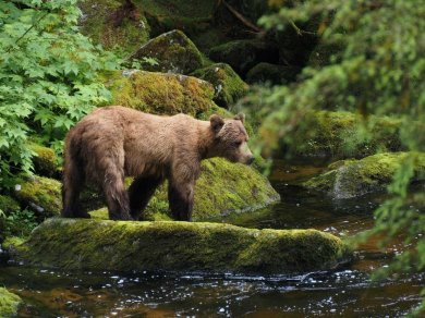 Rejs Alaska