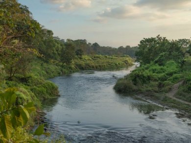 wycieczka do Parku Narodowego CHITWAN