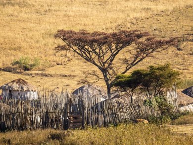 zwiedzanie wioski Masajów