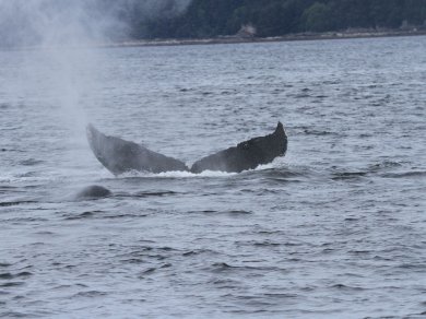 INSIDE PASSAGE