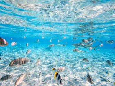wycieczka na Bora Bora