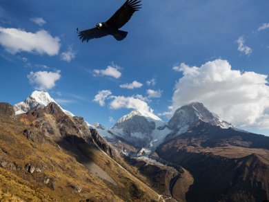 KONDORY I PUNTA ARENAS - zwiedzanie z Prestige Tours