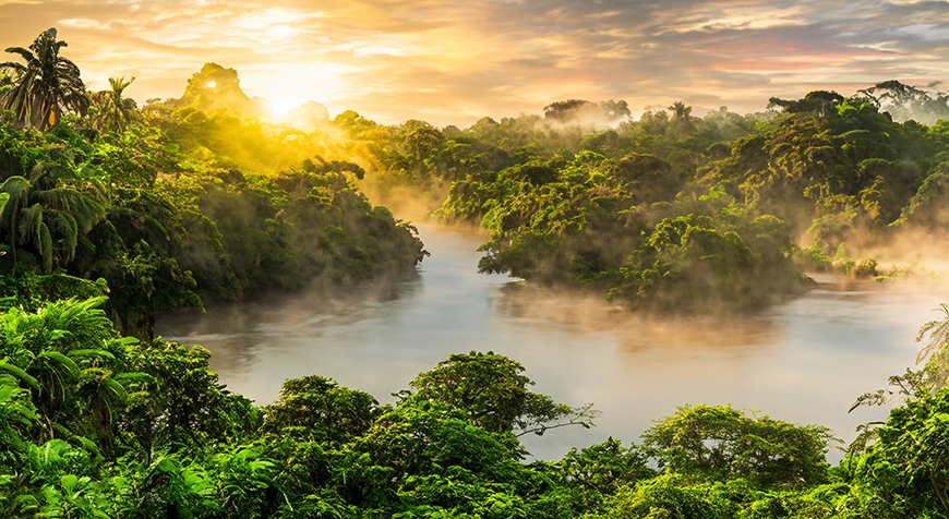 Las deszczowy Amazonii to piękne miejsce do przepraw rzeką. (Zdjęcie: Filippo Cesarini on Unsplash)