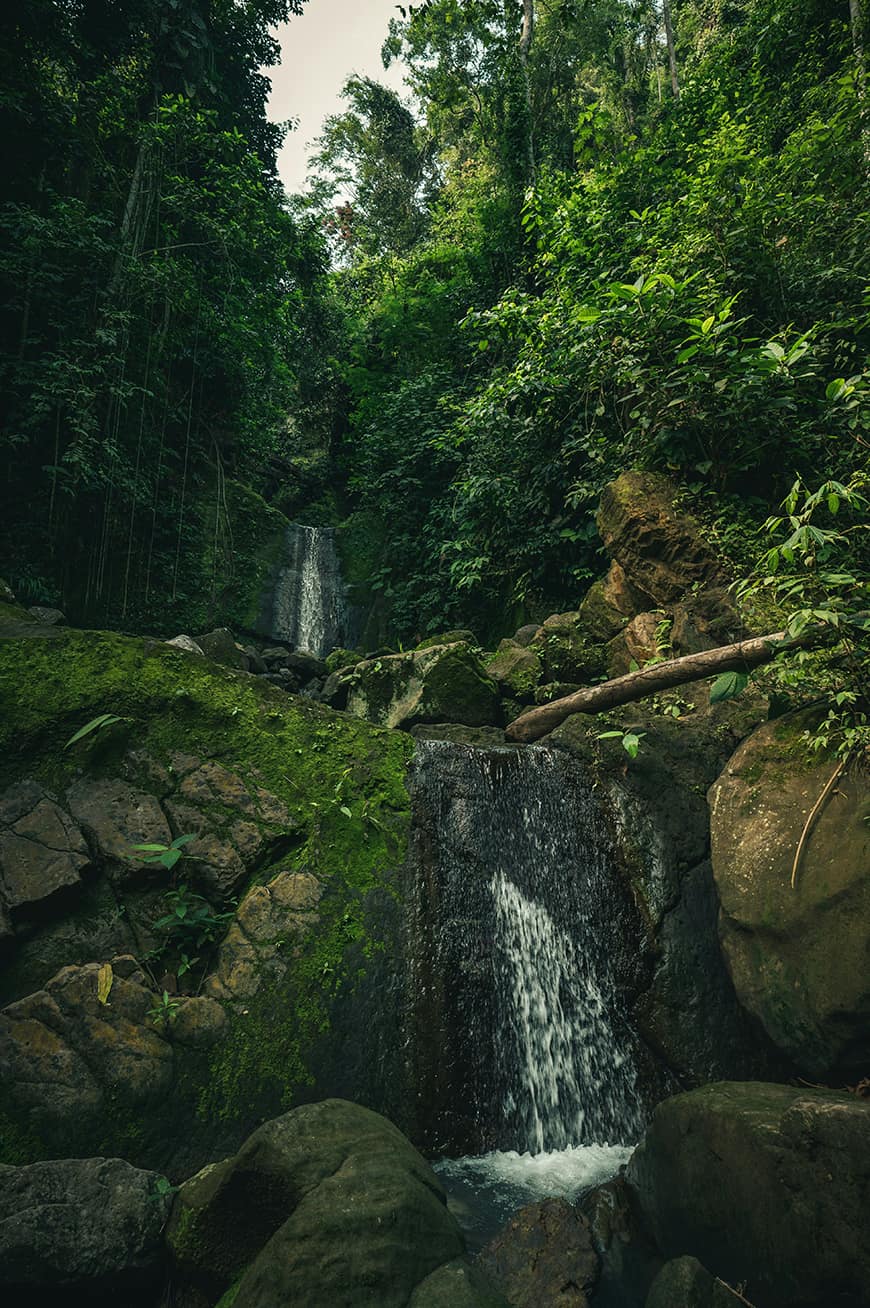 (Zdjęcie: Conscious Design, Unsplash)